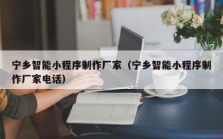 铜陵宁乡智能小程序制作厂家（宁乡智能小程序制作厂家电话）
