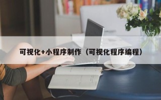 铜陵可视化+小程序制作（可视化程序编程）